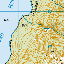 Lake Rotoiti Tasman NZ Topo Map