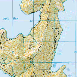 New Zealand Topographic Map - NZ Topo Map