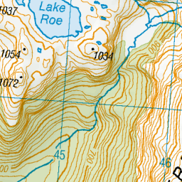 Lake Roe, Southland - NZ Topo Map