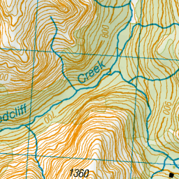 Redcliff Hut, Southland - NZ Topo Map