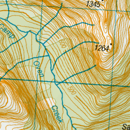 Camp Oven Creek, Southland - NZ Topo Map