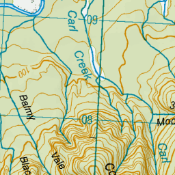 Carl Creek, West Coast - NZ Topo Map