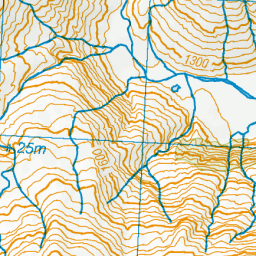 Albert Burn, Otago - NZ Topo Map