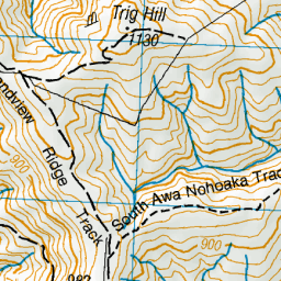 Trig Hill, Otago - NZ Topo Map