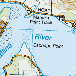 Cabbage Point, Otago - NZ Topo Map