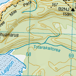 Totarakaitorea River, West Coast NZ Topo Map
