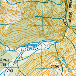 Adams Flat, West Coast - NZ Topo Map