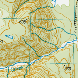 Douglas Creek, West Coast - NZ Topo Map