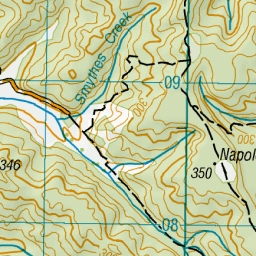 Napoleon Hill, West Coast - NZ Topo Map