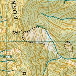 JOHNSON RIDGE, West Coast - NZ Topo Map