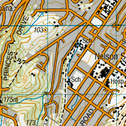 Nelson South, Nelson - NZ Topo Map