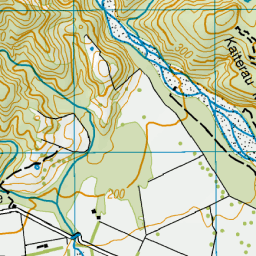 Swyncombe Map Swyncombe, Canterbury - NZ Topo Map