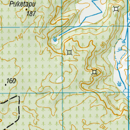 Puketapu, Northland - NZ Topo Map