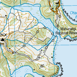 Otarawao Bay, Auckland - NZ Topo Map