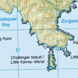 Kawau Point, Auckland - NZ Topo Map