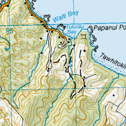 Papanui Point, Auckland - NZ Topo Map