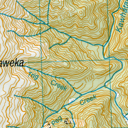 Trig Creek, Manawatu-Wanganui - NZ Topo Map