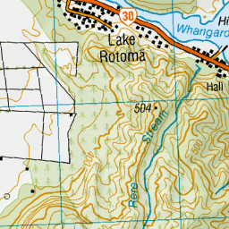 Lake Rotoma, Bay of Plenty - NZ Topo Map