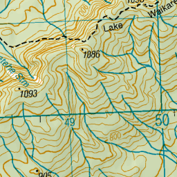 Lake Waikaremoana Great Walk, Hawke's Bay - NZ Topo Map