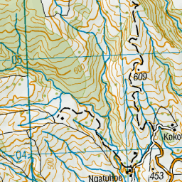 Kokotea, Hawke's Bay - NZ Topo Map